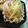 monchanママ's cooksnap of when they made もやしの辛子和え.