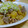 chocotama's cooksnap of when they made 大根と蒟蒻のピリ辛炒め煮.
