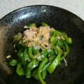 とうもりこ's cooksnap of when they made 沢山食べられるヘルシーピーマンのおひたし.