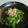 とうもりこ's cooksnap of when they made 沢山食べられるヘルシーピーマンのおひたし.