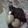 ヒトミ0303's cooksnap of when they made FPで簡単★きなこスノーボール.