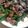 遥翔ΜAΜA's cooksnap of when they made 酒飲みの友！！砂肝＆にんにくの芽の炒め物.