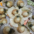 クック5POO64☆'s cooksnap of when they made 殻付きベビーほたてのバター酒蒸し☆.