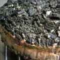 ひめポ's cooksnap of when they made コーヒーチーズケーキwithオレオ.