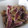 pom130's cooksnap of when they made さつまいもの皮で☆かりんとう♪.