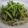 mikimia's cooksnap of when they made ✦もやしときゅうりの給食風サラダ✦.