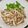 kinmaru's cooksnap of when they made ベーコンとしめじの醤油炒め.