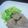 聖蘭sera's cooksnap of when they made 豚ひれ肉の煮込み♪.