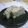 息子は植木等好き's cooksnap of when they made レンジでお豆腐ケーキ.