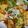 you222's cooksnap of when they made すごくおいしい！フライパンひとつで＾＾かじきの和風オニ照りとたっぷり野菜ソテー.