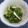 ゆずらぶ's cooksnap of when they made 春満載✿ウドと菜の花の酢味噌和え.