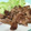 YukiShouママ's cooksnap of when they made 鶏もも肉の塩焼き☆簡単です(^O^).