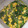 みやのりょうり's cooksnap of when they made ほうれん草でお弁当のおかず２種♪.