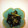 あい葉's cooksnap of when they made しめじとひじきのゴマゴマ炒め.