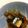 あい葉's cooksnap of when they made さんまの生姜煮.