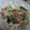 miyuki12's cooksnap of when they made 水菜とえのきの梅和え.