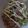 masan0331's cooksnap of when they made ツナマヨ丼☆.