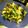 White-Plumeria's cooksnap of when they made ブロッコリーと卵の中華炒め.