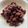 ちひろの庭's cooksnap of when they made ＊母から伝わる＊金時豆の煮物＊.