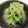 ワイングラス's cooksnap of when they made しらすと小松菜のめんつゆ胡麻和え.