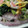 ユヒユヒ母ちゃん's cooksnap of when they made 海老とアボカドのサラダ風ちらし寿司.