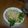 icco0920's cooksnap of when they made キャベツとむね肉のバンバンジー風.