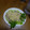 icco0920's cooksnap of when they made キャベツとむね肉のバンバンジー風.