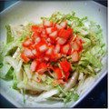 Ｅ－１０'s cooksnap of when they made ★超～簡単★白菜とカニ風かまぼこのサラダ.
