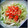 Ｅ－１０'s cooksnap of when they made ★超～簡単★白菜とカニ風かまぼこのサラダ.