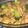 ぐらんぴこ's cooksnap of when they made ジャガ豚の味噌バター炒め.
