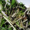えいまる's cooksnap of when they made ひじきのごま酢和え.