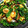 mailyn's cooksnap of when they made 菜の花のちらし寿司.