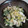 comatan☆'s cooksnap of when they made 味付け簡単☆白菜と水菜の白和え♪.