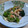 三つ葉つくし's cooksnap of when they made ほうれん草と桜エビの、さっぱり和え.