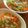kortezjade's cooksnap of when they made セロリとひき肉のあっさり炒め.