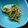 こはる☆イロハ's cooksnap of when they made おかんが作る菜の花のマヨネーズ和え.