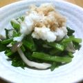ねっちゃんっ's cooksnap of when they made さっぱり！青菜としめじのおろしポン酢.