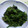 のじまさん's cooksnap of when they made 甘じょっぱ！ほうれん草のごま和え.