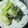 ♡Catherine's cooksnap of when they made 豚肉とチンゲンサイのコチュジャン炒め.