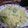 はむじぶ。's cooksnap of when they made 簡単☆フライパン一つでグラタン♪.