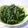 ゆみらんたん's cooksnap of when they made 簡単☆ほうれん草の中華風和えもの.