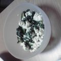shintan107's cooksnap of when they made 簡単☆春菊と豆腐のごまあえ.