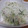 ゆけり３兄弟's cooksnap of when they made 大根とツナのマヨサラダ♪.