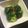 みかち♪'s cooksnap of when they made 簡単★ブロッコリーのごまポン.