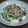 マルチワワ's cooksnap of when they made 全部のせ☆湯豆腐.