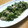 ねっちゃんっ's cooksnap of when they made ほうれん草とツナの“わさびソテー”.