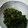 のじまさん's cooksnap of when they made セリのゴマ和え.
