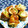 シャンプーハット's cooksnap of when they made 巻き巻きしょうが焼き♪.