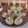 eririnn4368's cooksnap of when they made うさかまちゃん★.