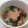 hayata's cooksnap of when they made ほうれん草とベーコンのココット.